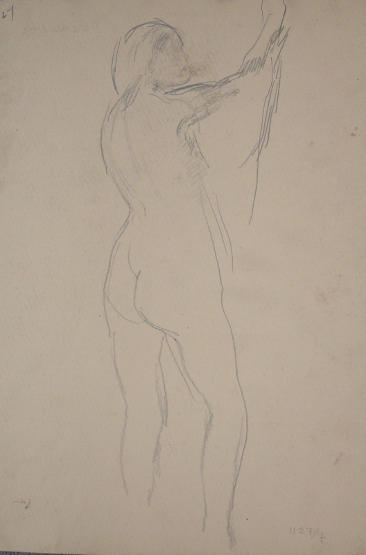 Pencil sketch of a nude standing . .1127 v